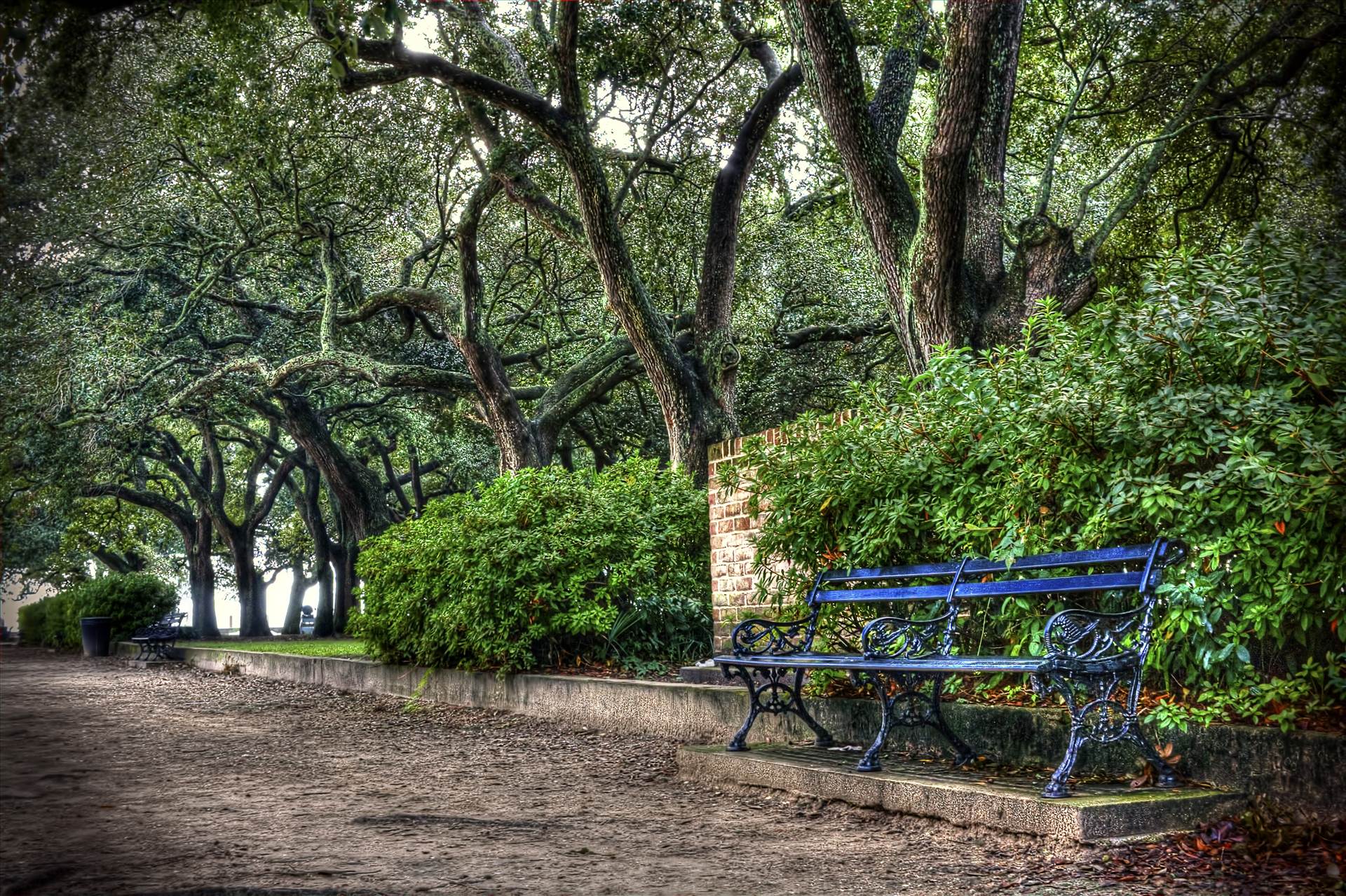 White Point Gardens Bench.jpg -  by jennyellenphotography